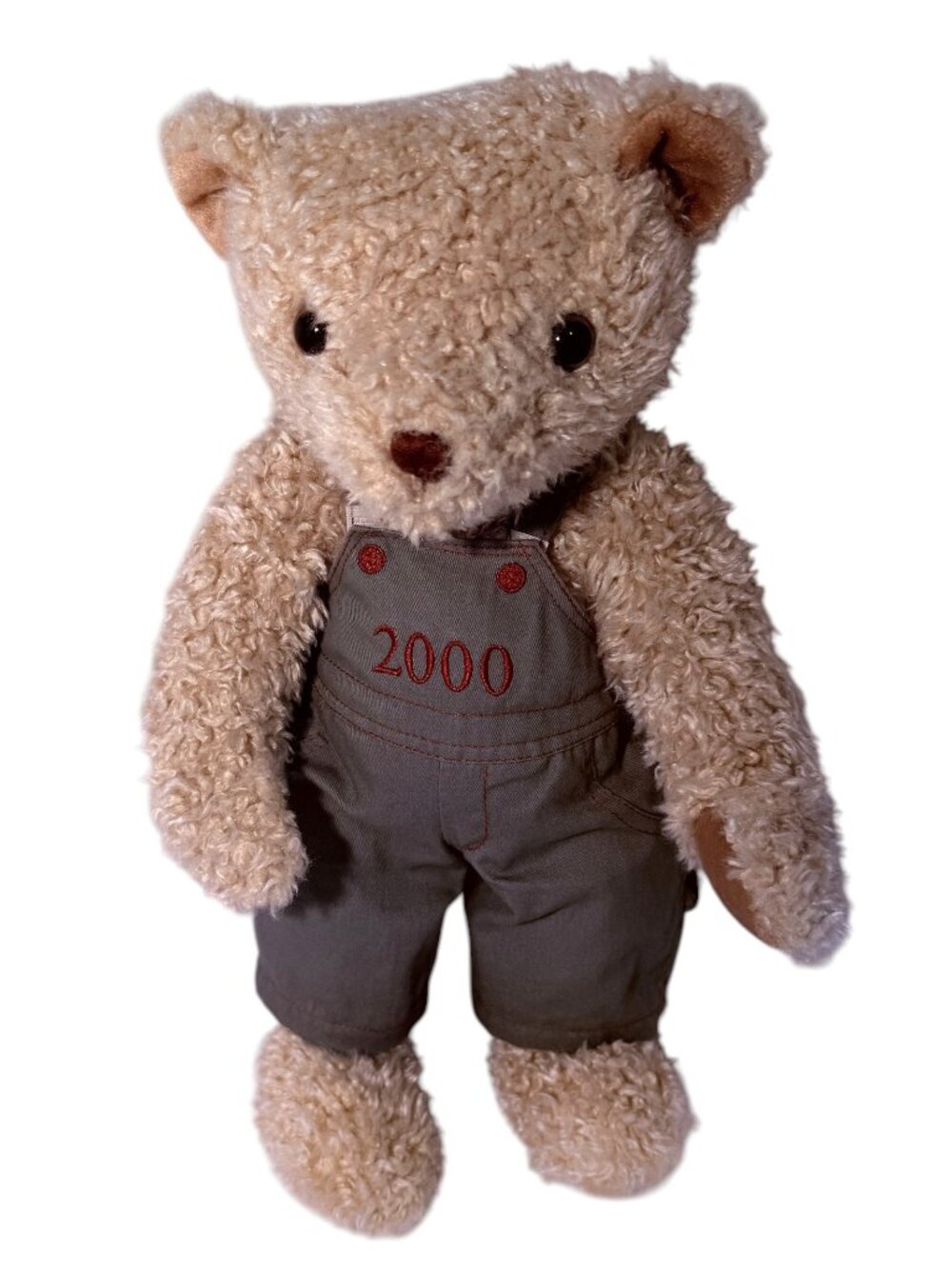 Charter Club Vintage Year 2000 "Charter Cub" Teddy Bear Rare